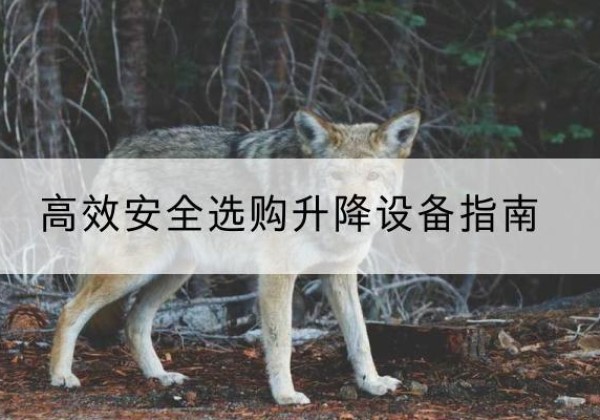 阿坝升降货梯厂家推荐-*安全选购升降设备指南