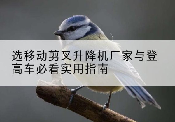 阿坝电动升降机厂家-选移动剪叉升降机厂家与登高车必看实用指南