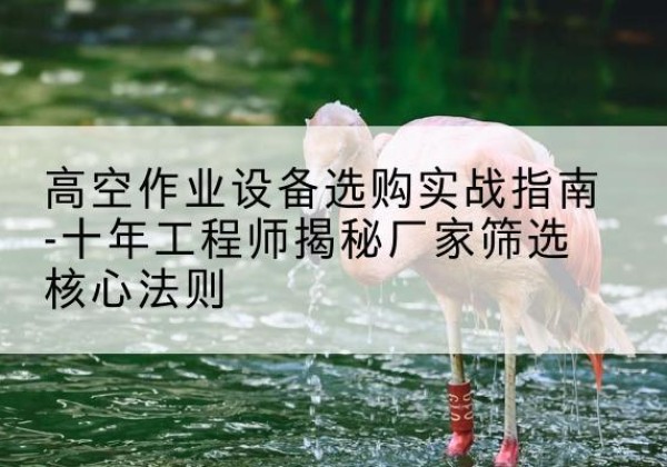 阿坝剪叉式升降机厂家-高空作业设备选购实战指南-十年工程师揭秘厂家筛选核心法则